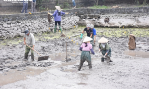 Ảnh: Khai quật bãi cọc mới phát lộ ở Hải Phòng nghi liên quan trận Bạch Đằng